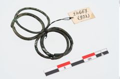 Foto von Bronzering (NHMW-PRAE-024667)